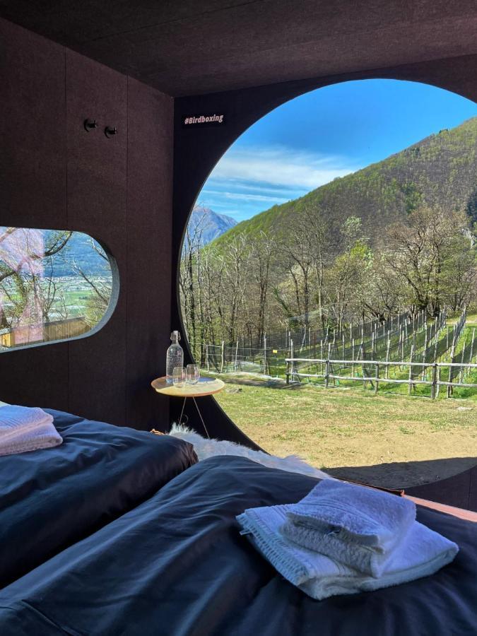 Hotel Birdbox Curzútt Monte Carasso Exterior foto