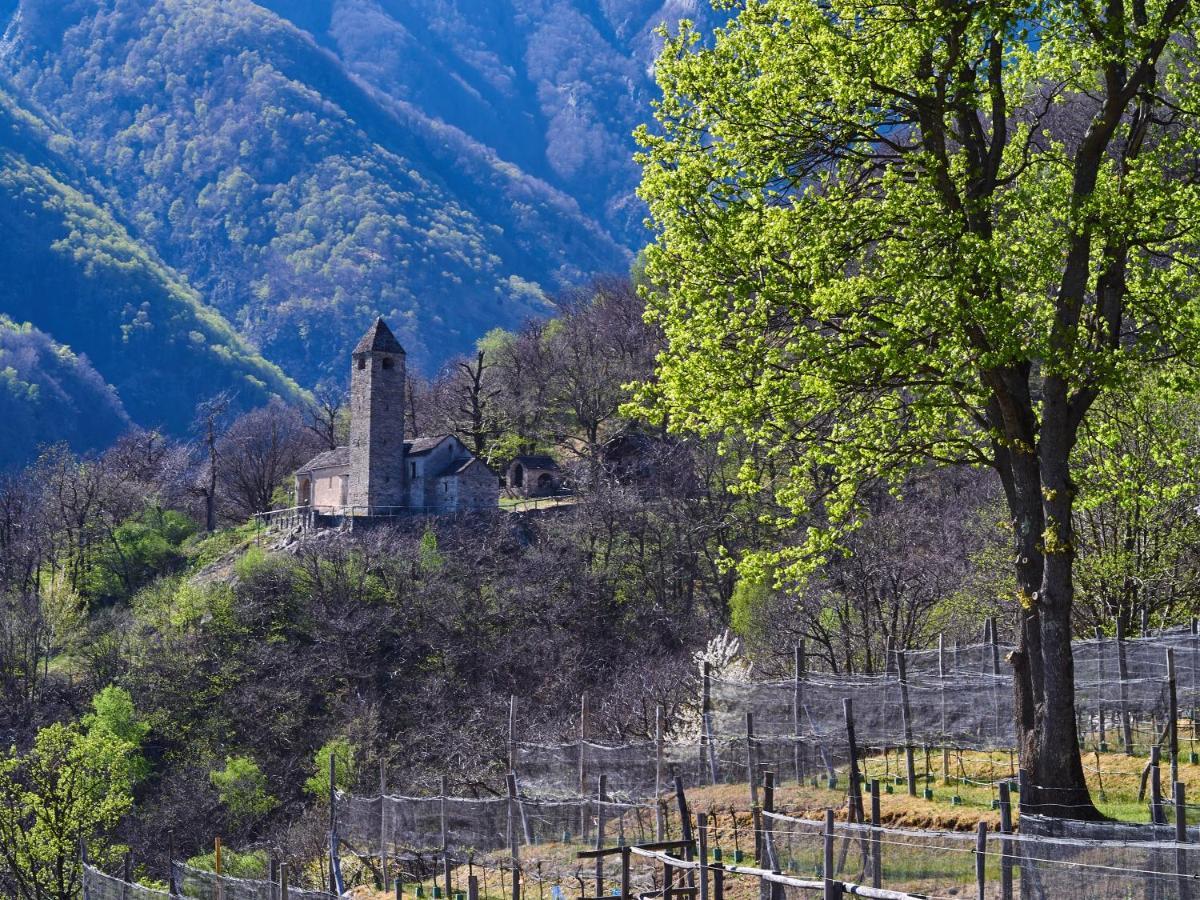Hotel Birdbox Curzútt Monte Carasso Exterior foto